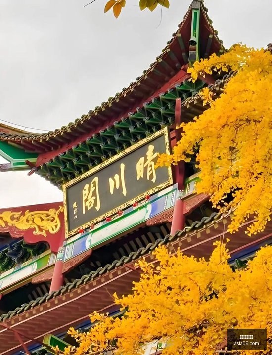 利物浦挑战,诺丁汉悬念,重重,华体会官网,华体会体育,官方入口,华体会娱乐,体育资讯