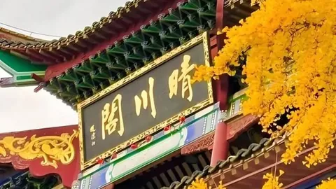 利物浦挑战诺丁汉悬念重重，热刺大战纽卡斯尔一触即发